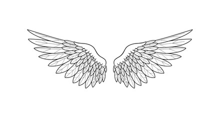 Detailed line art illustration of symmetrical feathered wings spread