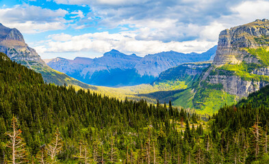 Scenic Green Lush Valley with Mountains in the Back at Glacier National Park