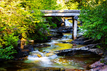 Scenic view of Ptarmigan creek on Iceberg lake trail in Glacier National Park