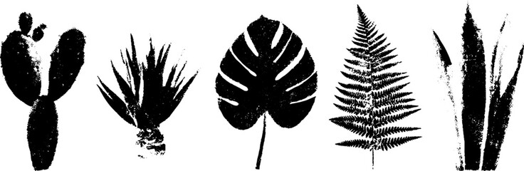 Black and white grunge linocut set of cactus and ferns - nature-inspired design for decor