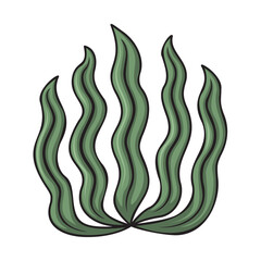 Cartoon Style Green Algae Plant Seaweed With Dark Outline On Transparent Background