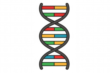 Dna helix structure graphic representing genetics, heredity, scientific research, and biological identity