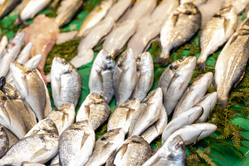 fresh fish on the market turkey