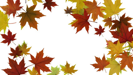 Autumn Maple Leaves Scattered on isolated on a transparent background fall