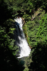 美しい花房の滝の風景
