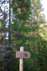 Discover the beauty of the Viru eco route in Estonia's swamp, featuring signs guiding visitors through the vibrant forest filled with nature's wonders