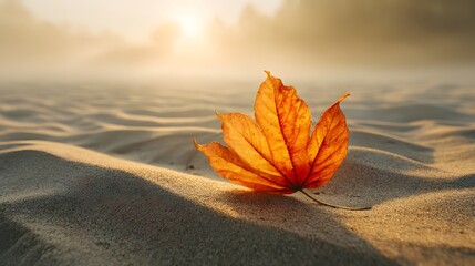 Autumn leaf rests on sand dunes at sunrise with warm light.