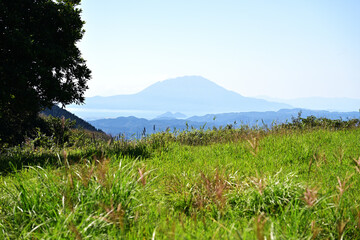 緑が広がる柳ヶ平散策路展望台