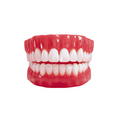 Obraz premium Dental Prosthetics: A close-up view of a complete set of dental prosthetics, showcasing the intricate detail and realistic appearance of the teeth.