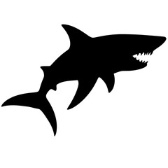 shark vector illustration