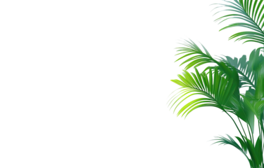 Vibrant green palm fronds on the right side, isolated against a black background
