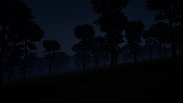 scary natural foggy night forest