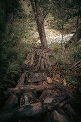 Sendero de madera en Bariloche