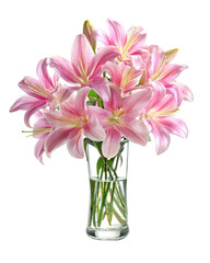Stylish Bouquet of Pink Lilies in Clear Glass Vase on Transparent Background
