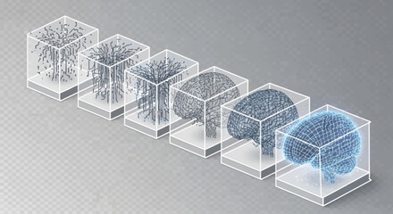 Progression of a brain's development, visualized through stages within transparent cubes, showcasing its evolution.