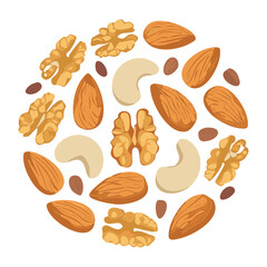Circular design showcasing an abundant mix of cashews, walnuts, and almonds creating an appealing, organic, and wholesome arrangement - Vector Illustration
