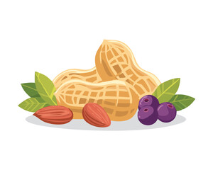 Composition featuring peanuts in their shells with sweet almonds and dark blueberries creates a simple, wholesome, and energetic snack - Vector Illustration