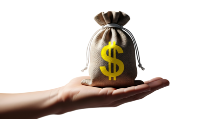 Hand holding a small burlap money bag with a dollar sign isolated on transparent background