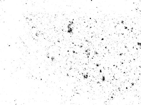 sand particle on transparent background