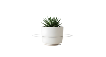 Smooth Loop Animation of a Rotating Plant Pot on a White Minimal Setup