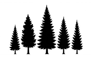 Fototapeta premium Pine trees silhouettes vector set with transparent background, nature scene, winter season or christmas holiday symbol