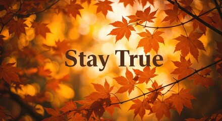 Autumn leaves with inspirational quote about staying true.