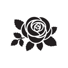 red rose on white background