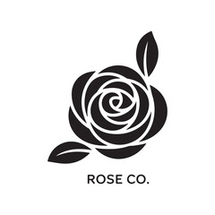 rose vector illustration