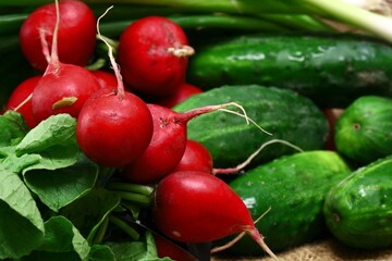 Fresh vegetables radish cucumber tomatoes