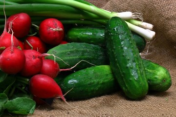 Fresh vegetables radish cucumber tomatoes