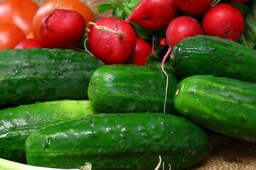 Fresh vegetables radish cucumber tomatoes