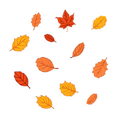 Fototapeta premium Dancing Autumn Leaves: Colorful autumn leaves in various shapes and hues, delicately scattered, capturing the essence of fall season. isolated on transparent background Generative AI.