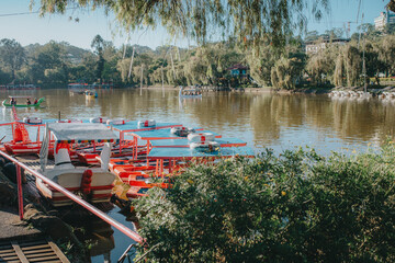 Colorful Rowboats Docked at Burnham Park Lake in Baguio City, Philippines