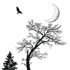Moon silhouette © Monira