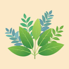 Bundle of fresh green leaves, possibly bay or a common culinary herb, with a simple, clean, and organic look for health and food concepts - Vector Illustration