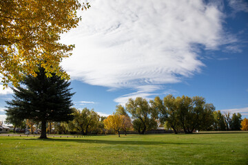 Fototapeta premium Stunning clouds and blue sky in autumn park
