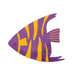 Yellow and purple tropical fish