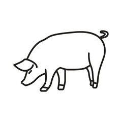 A line drawing of a pig shown in profile with its snout towards the ground. editable line icon