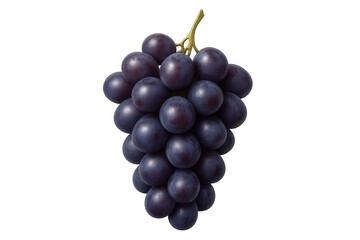 Fototapeta premium Fresh purple grapes bunch on vine showing healthy eating fruit snack, transparent background