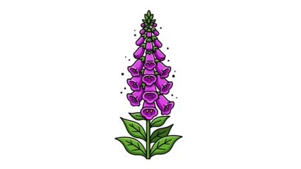 Foxglove Purple Flower with Green Leaves Isolated on Transparent Background