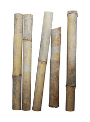 dry bamboo sticks isolated