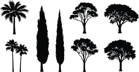Tree silhouette collection, palm trees, cypress, deciduous trees, nature vector illustration, forest elements, black tree icons, natural landscape design art