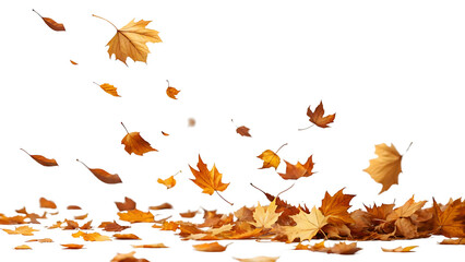 Falling golden autumn leaves isolated on black background creating a beautiful seasonal scene full of color and warmth