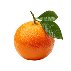 Artificial Orange Realistic Kitchen Table Accent