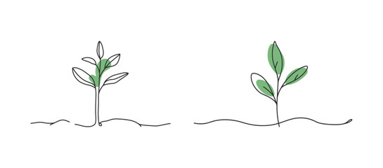 Set of Minimalist Sprout Seedling Line Art with Green Color Accent, Continuous One Line Plant Growth Illustration