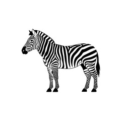 Naklejka premium A striking black and white zebra standing proudly in profile.