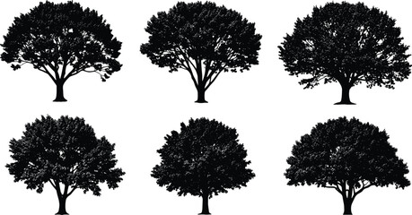 Tree silhouette vector illustration collection, diverse canopy and branching patterns, decorative botanical artwork, abstract forest design, nature elements for landscape, ecology and environmental