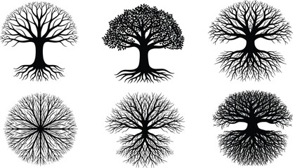 Tree silhouette vector set, black isolated botanical illustration, root and branch symmetry, nature design, abstract forest artwork, seasonal clipart bundle