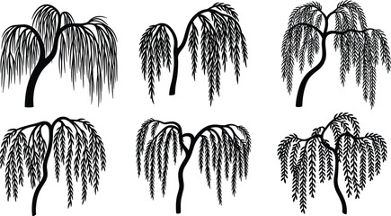 Willow tree silhouette vector set, black isolated botanical illustration, drooping branches, nature elements, forest design, decorative foliage, landscape art bundle