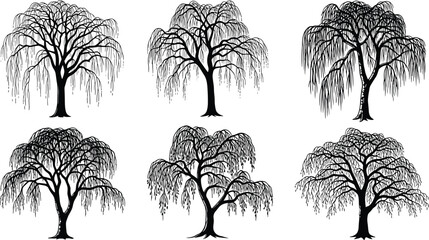 Willow tree silhouette set, black and white vector illustration, drooping branches and foliage, artistic botanical design, minimal nature elements, landscape art